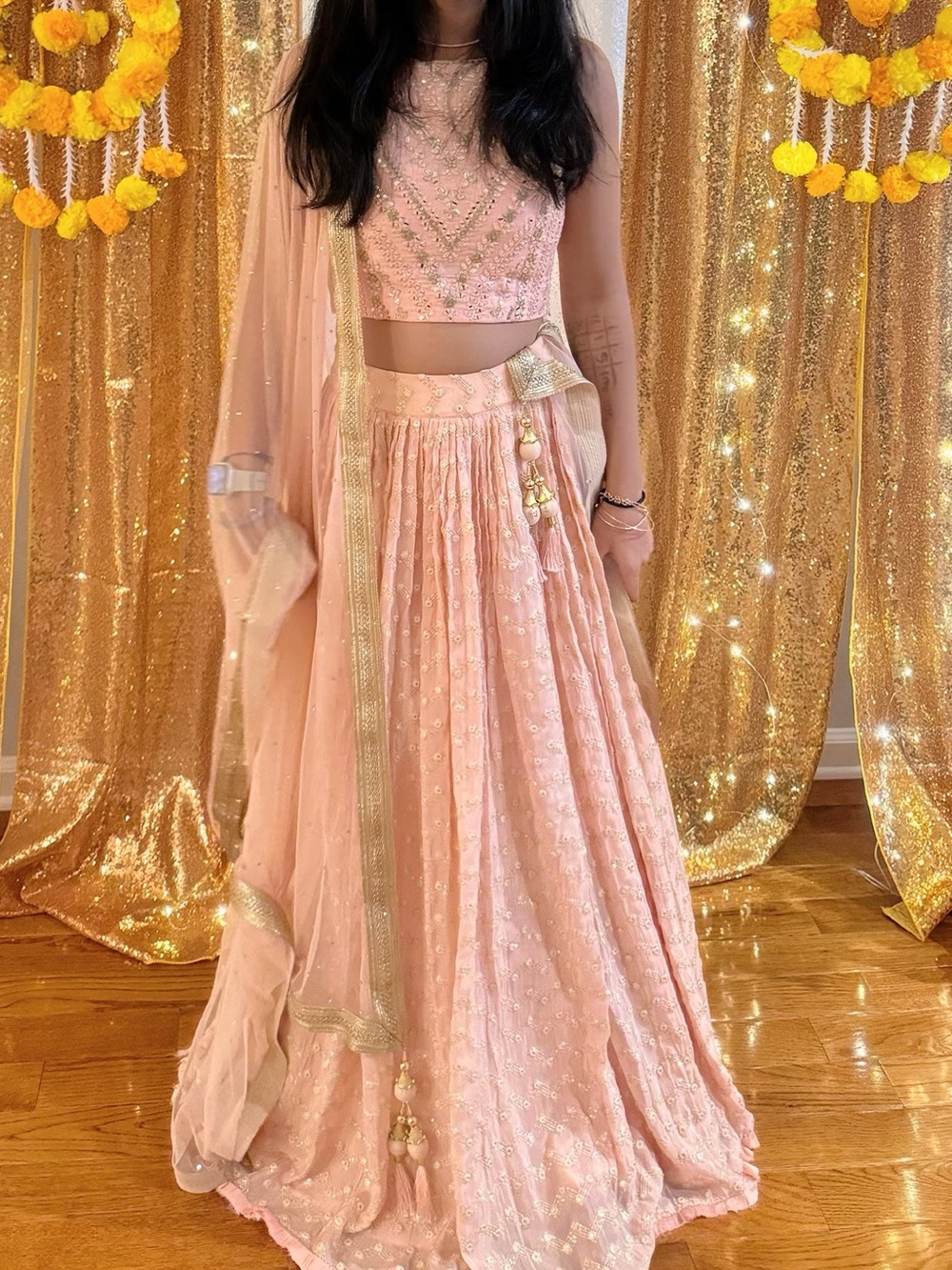 Blush Pink Embellished Lehenga Set size 0